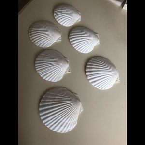 6 hors d'oeuvre baking shells